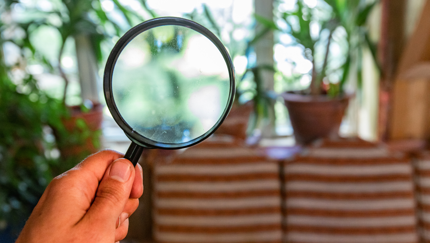 Earning LEED Indoor Air Quality Assessment in v4.1 Green Badger