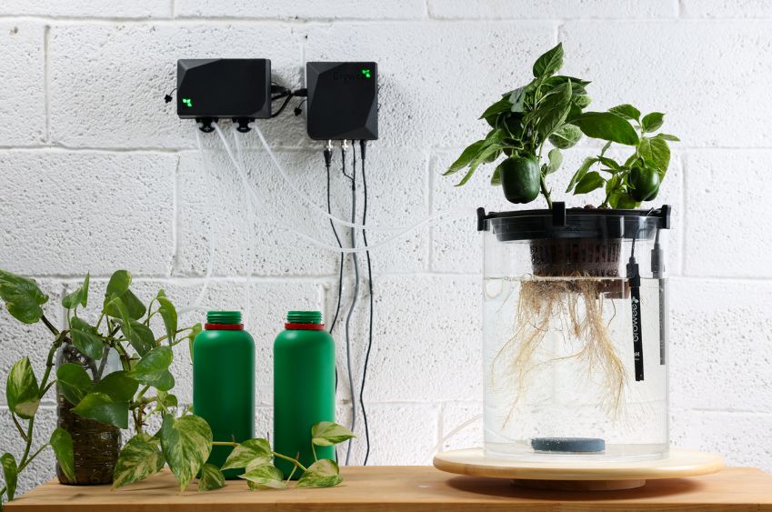 How To Use Reverse Osmosis (RO) Water In Hydroponics Growee