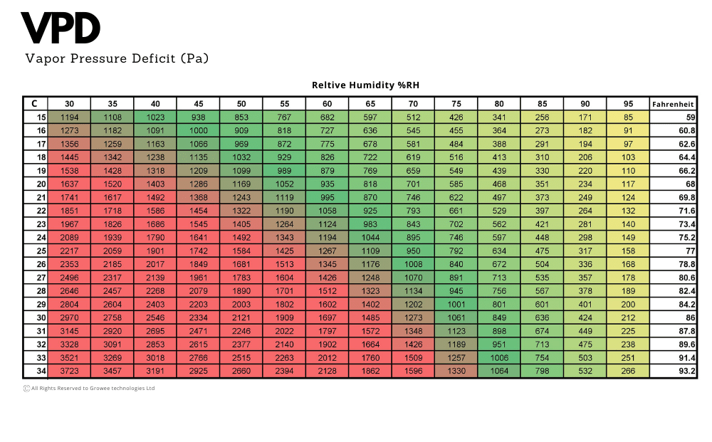 What Is VPD All You Need To Know? Growee