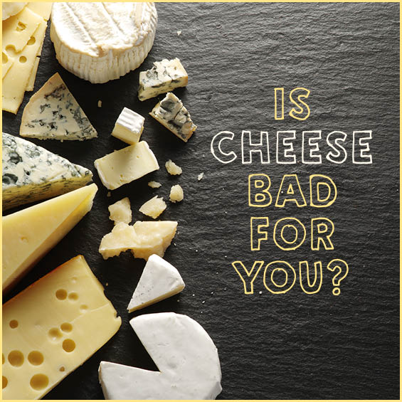 Is Cheese Bad For You? Get Healthy U