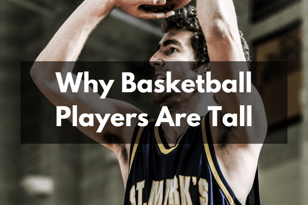 Why Basketball Players Are Tall Get Hyped Sports