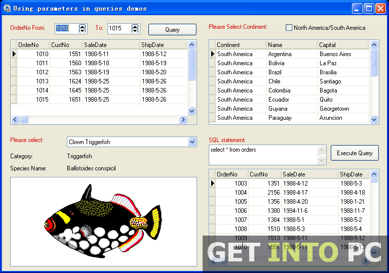 Longtion Software Application Builder Free Download