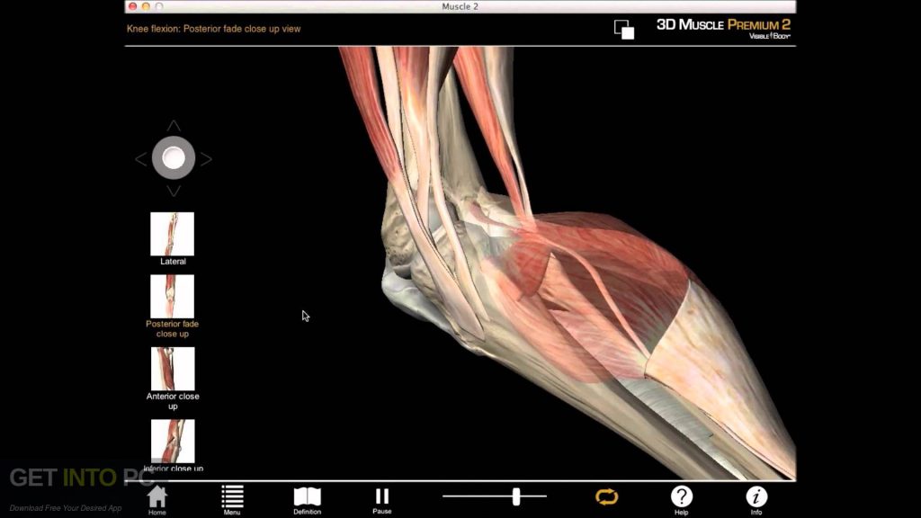 Visible Body Muscle Premium Free Download