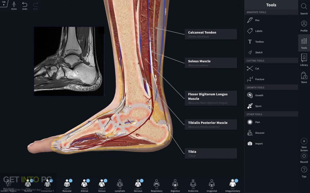 Download Complete Anatomy 2019 for Mac