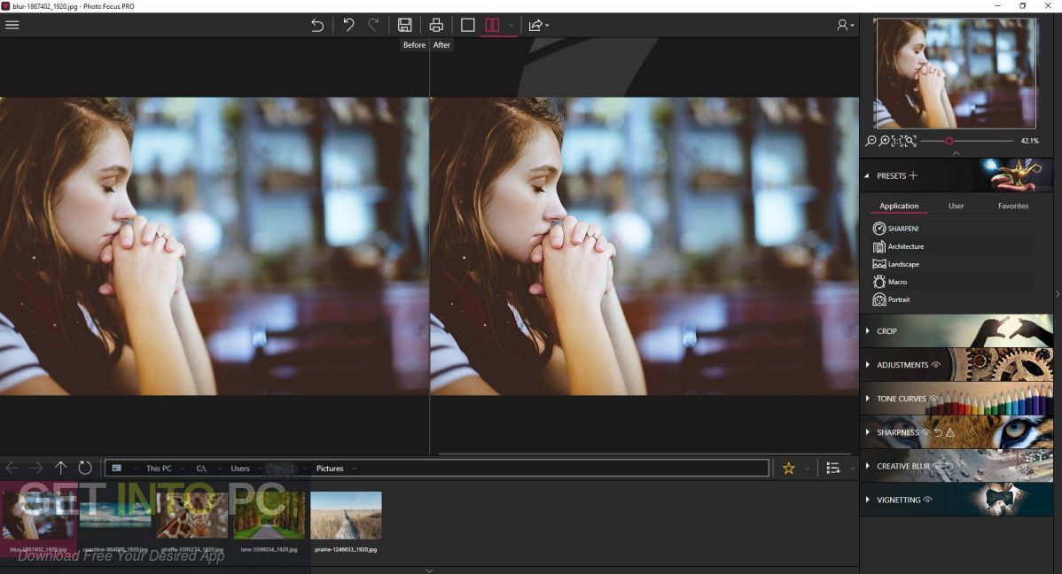 InPixio Photo Focus Pro 2021 Free Download