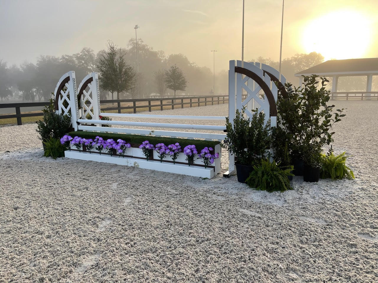 Horse Jumps For Sale ⋆ Horse sports show jumps