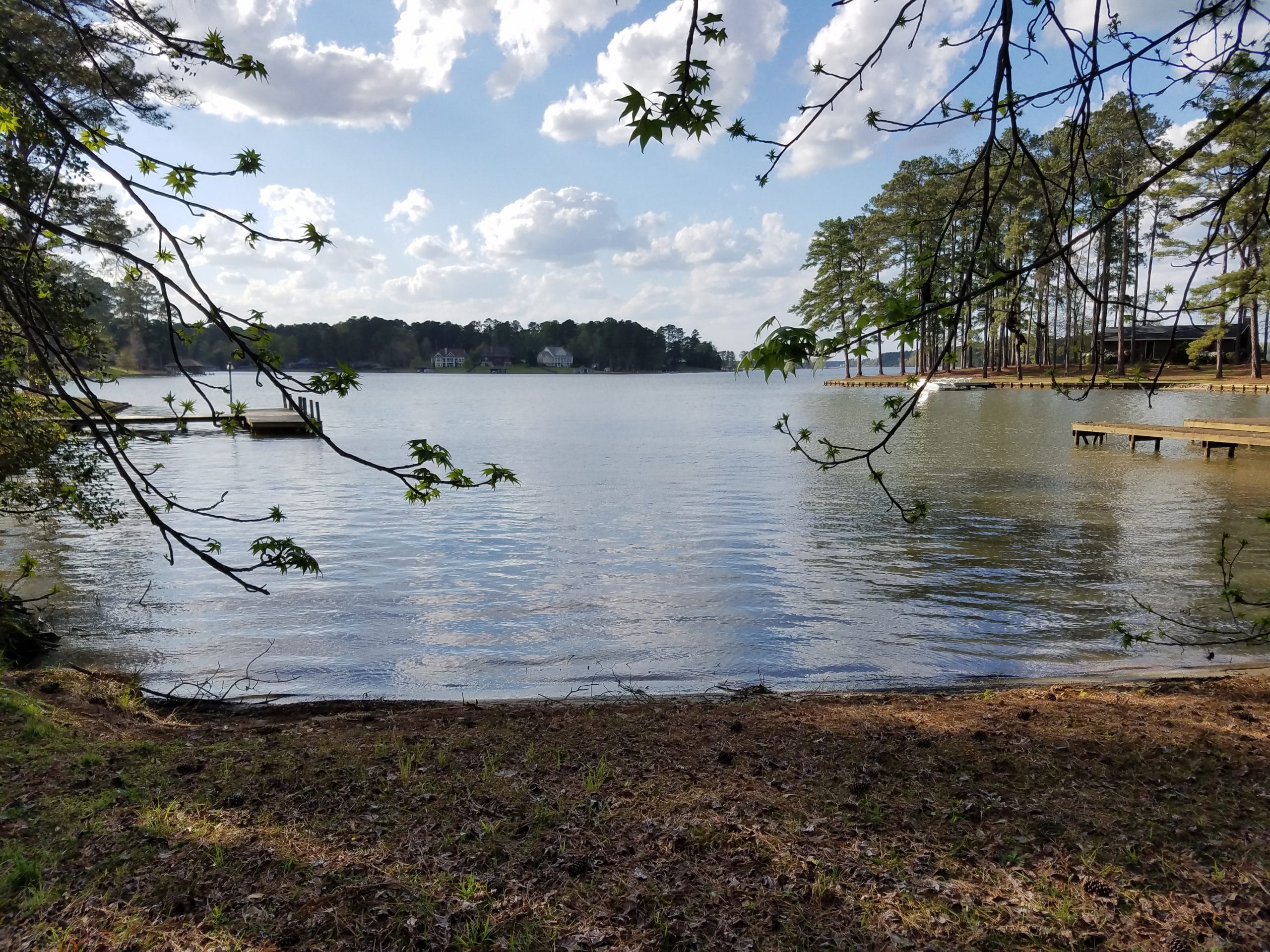 Landscaping Blog Landscaping Milledgeville, GA Lakefront Landscaping