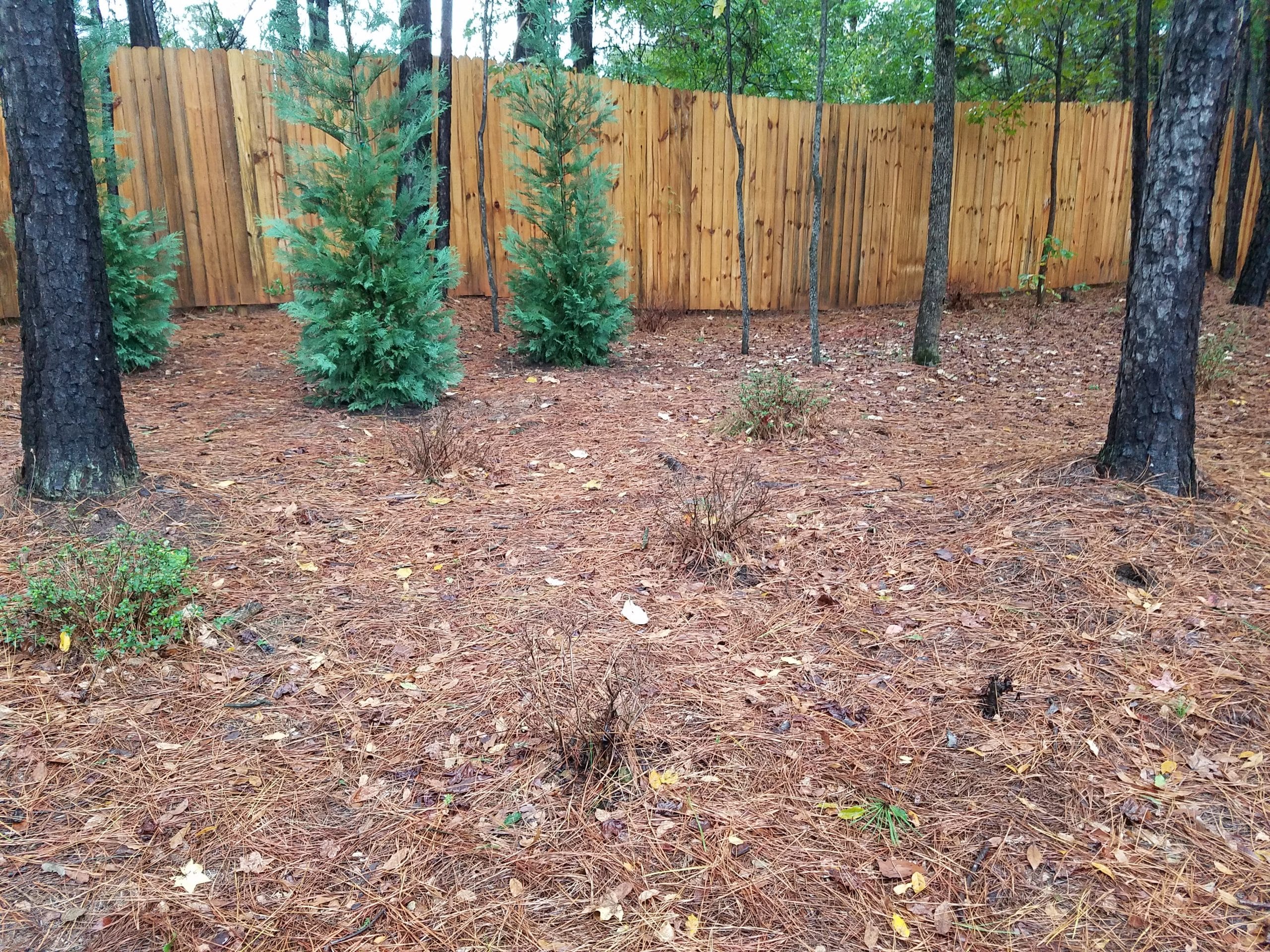 Landscaping Blog Landscaping Milledgeville, GA Lakefront Landscaping
