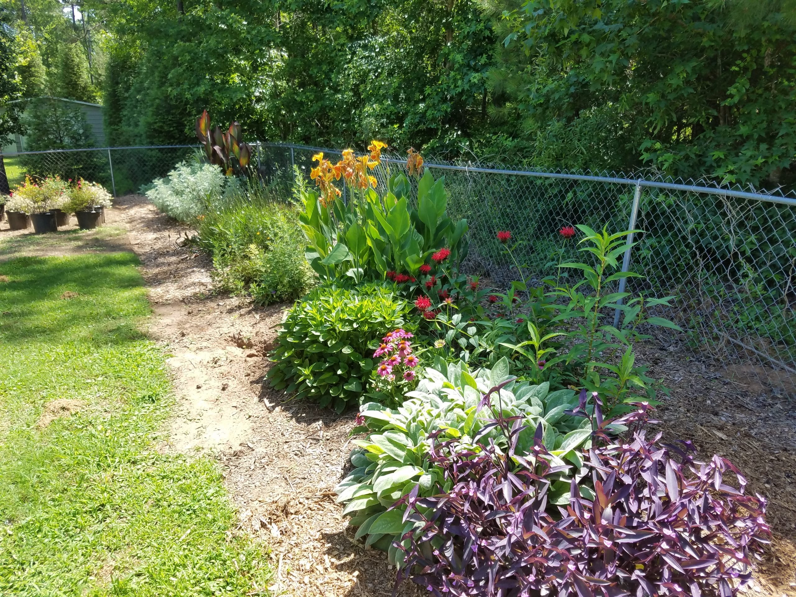 Landscaping Blog Landscaping Milledgeville, GA Lakefront Landscaping