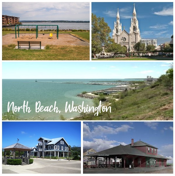 .78Acre Property in Grays Harbor County, WA Offered at Only 24,900