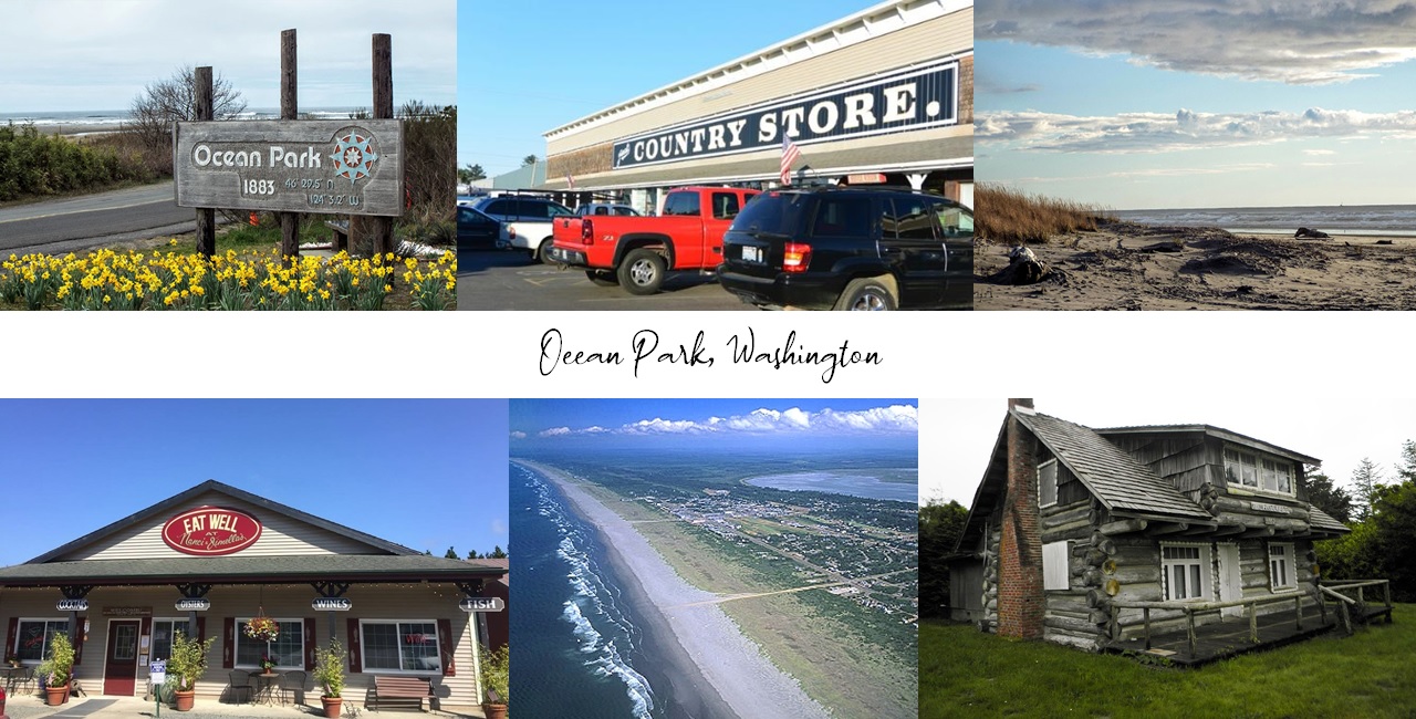.69Acre Property in Ocean Park, WA Offered at 50 Below Market Value