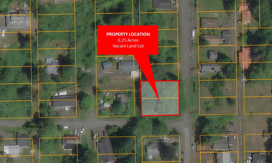 .25Acre Property in Pacific County Offered at 50 Below Market Value