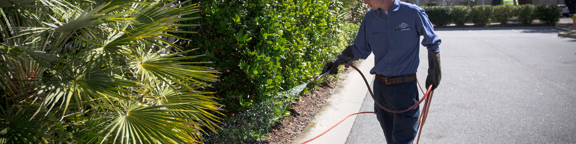 Pest Library Myrtle Beach Pest Control Termite Protection Plans