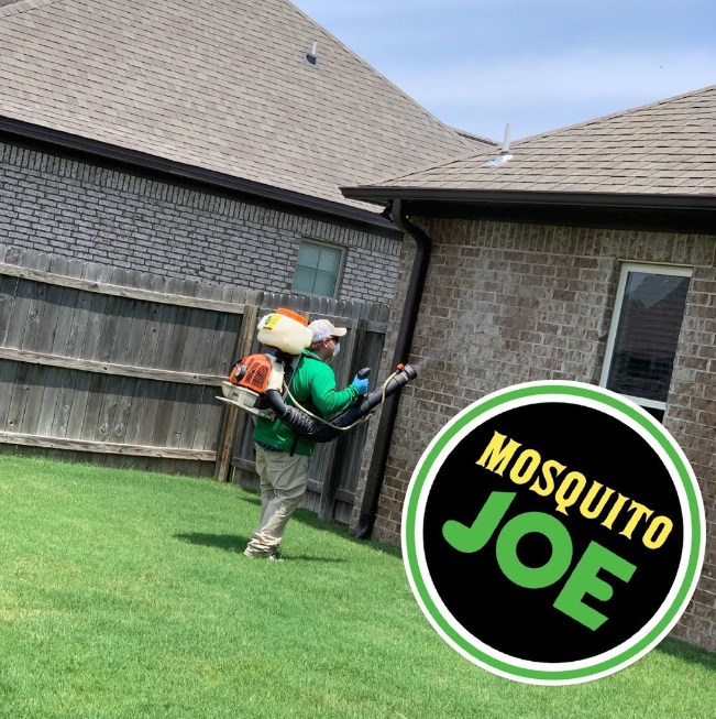 Looking For An Expert Pest Control Service? You Deserve The Best Today