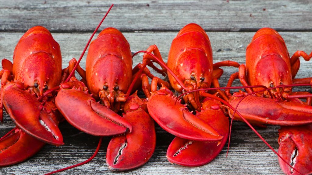 Live Maine Lobster Deal👉Best Price. SHIPS FREE. Get Maine Lobster
