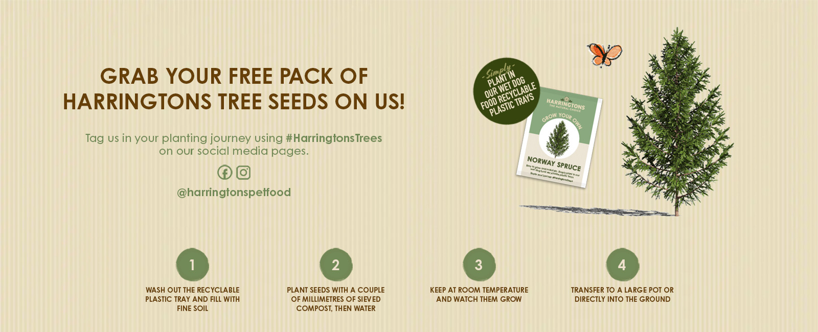 Free Wildflower Seeds (NEW) Get me FREE Samples