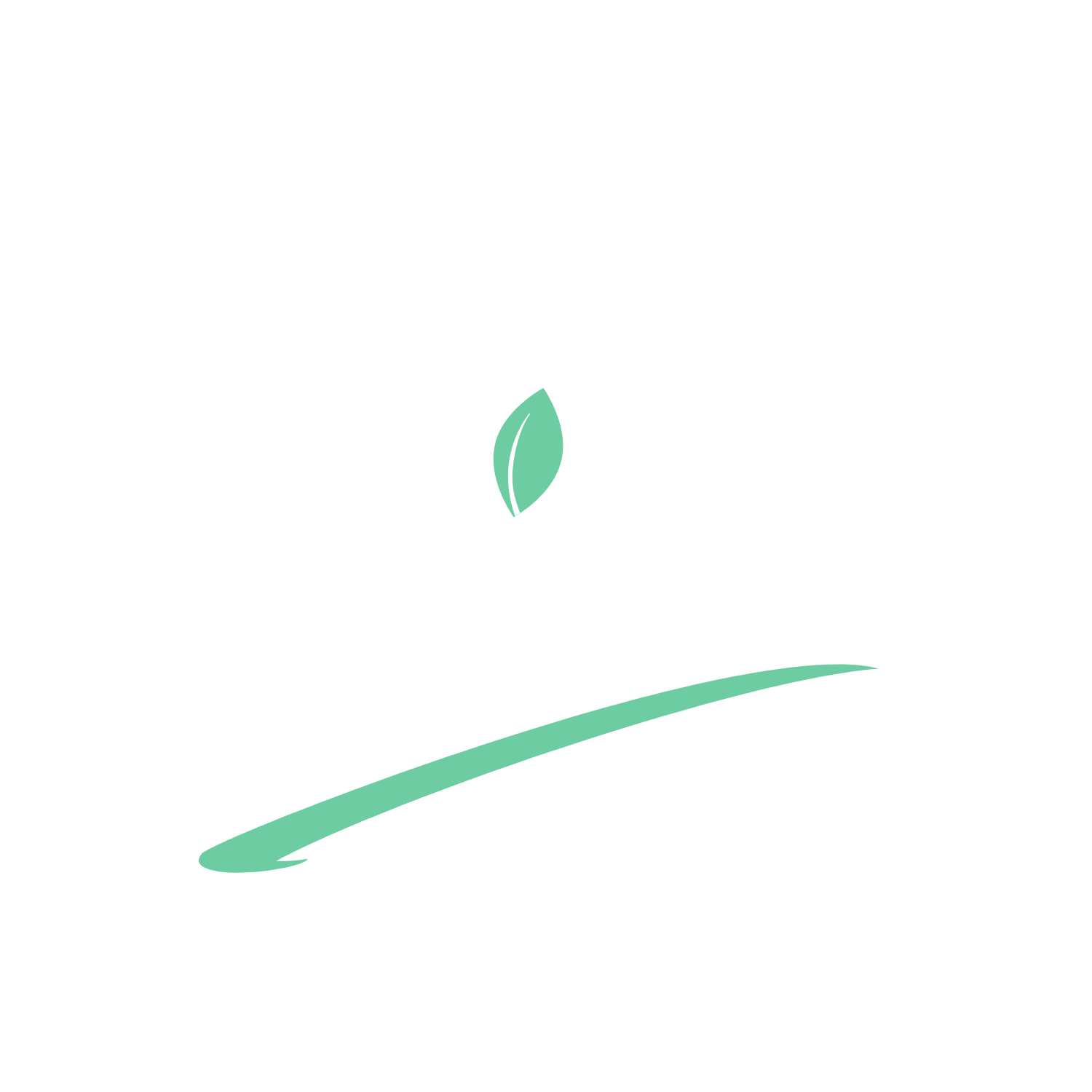 Car Detailing Atlanta Mint Mobile Detail