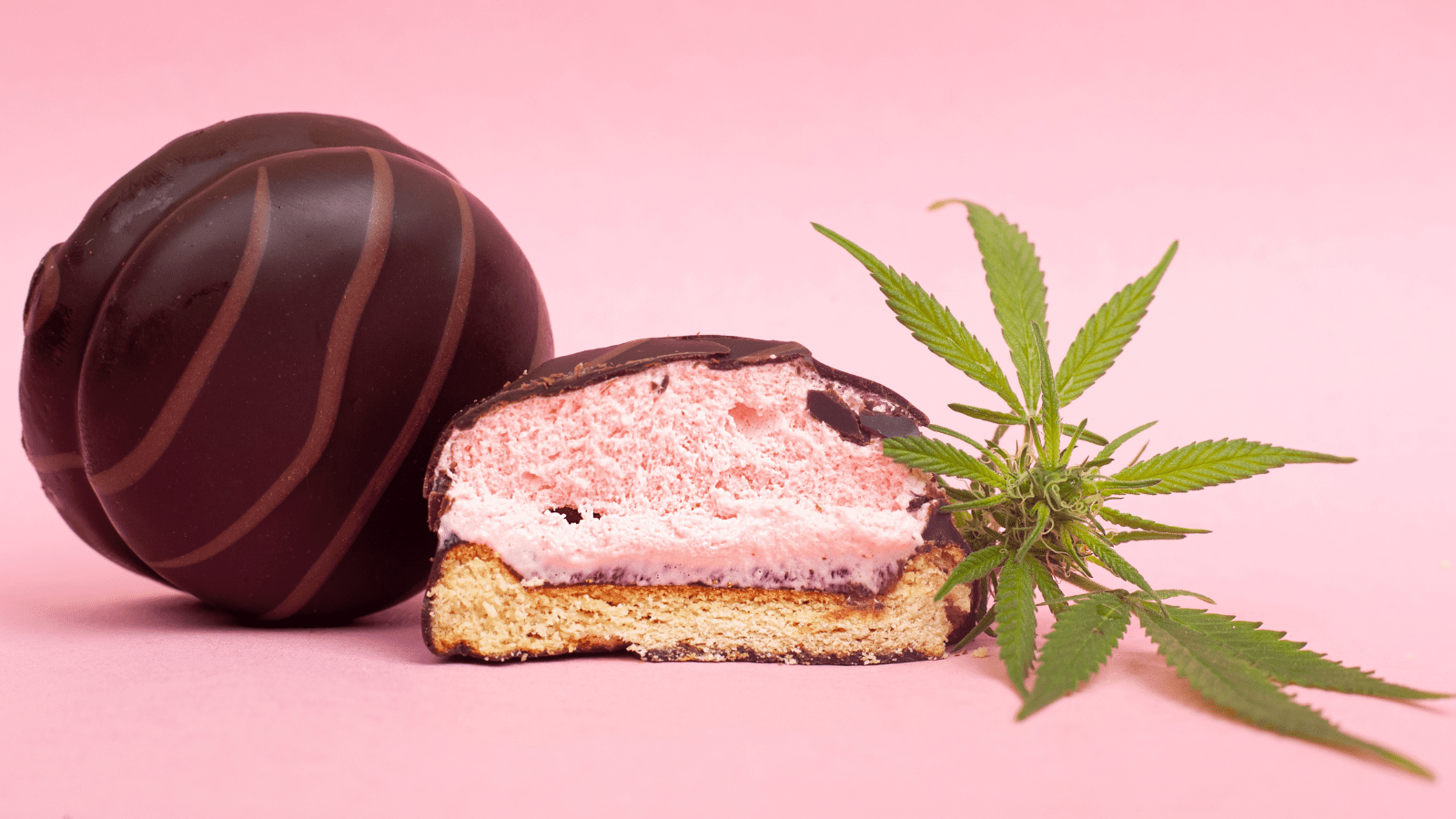Cannabis Edibles 101 Exploring Their Impact On The Body Novus