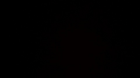 Download cece-rose OnlyFans videos and photos for free - getonly4fans.com