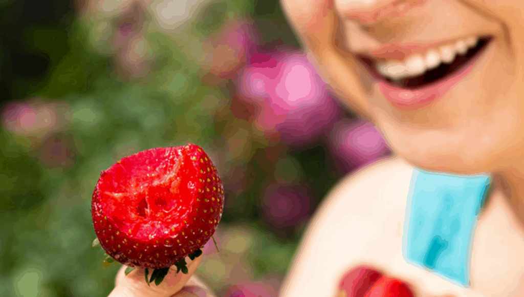 5 of The BEST Places to go Strawberry Picking Adelaide with Kids