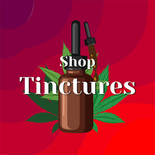 Buy the Best THC Disposable Vapes Online in Massachusetts