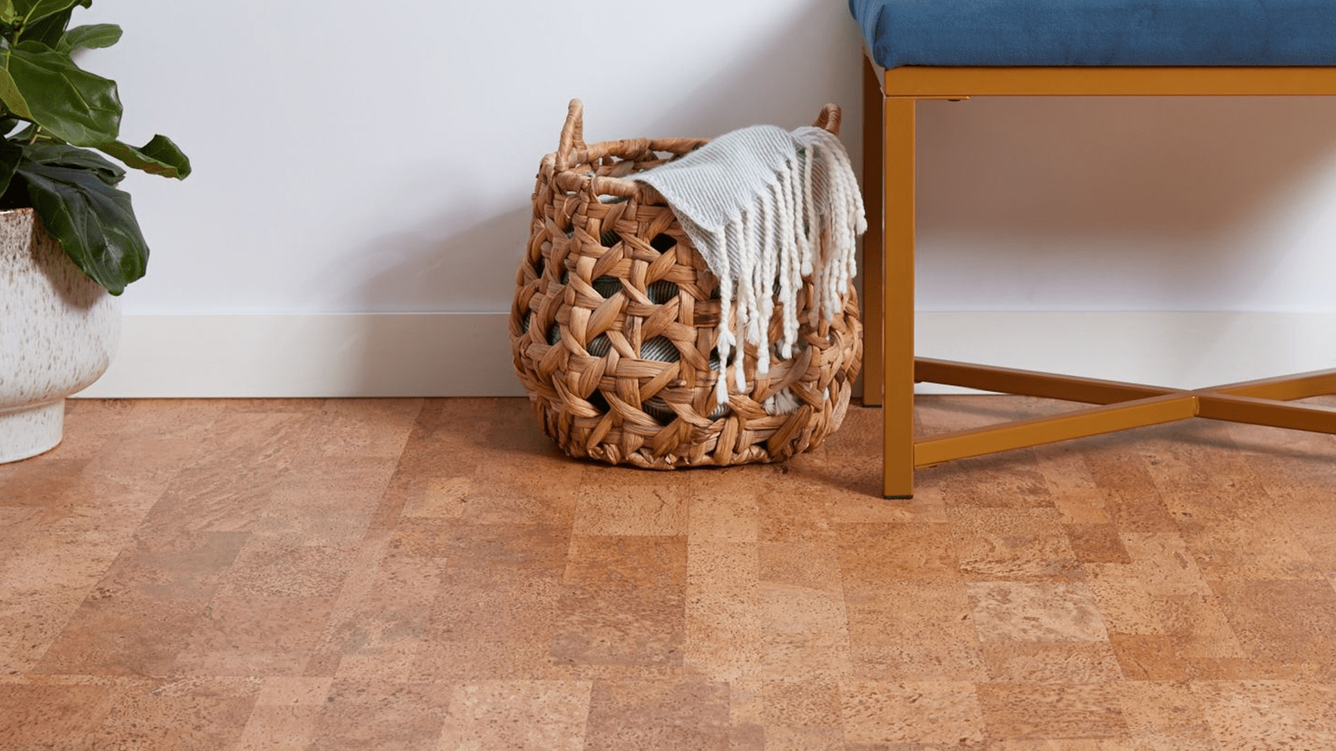 How to Clean Cork Floors PROCLEAN