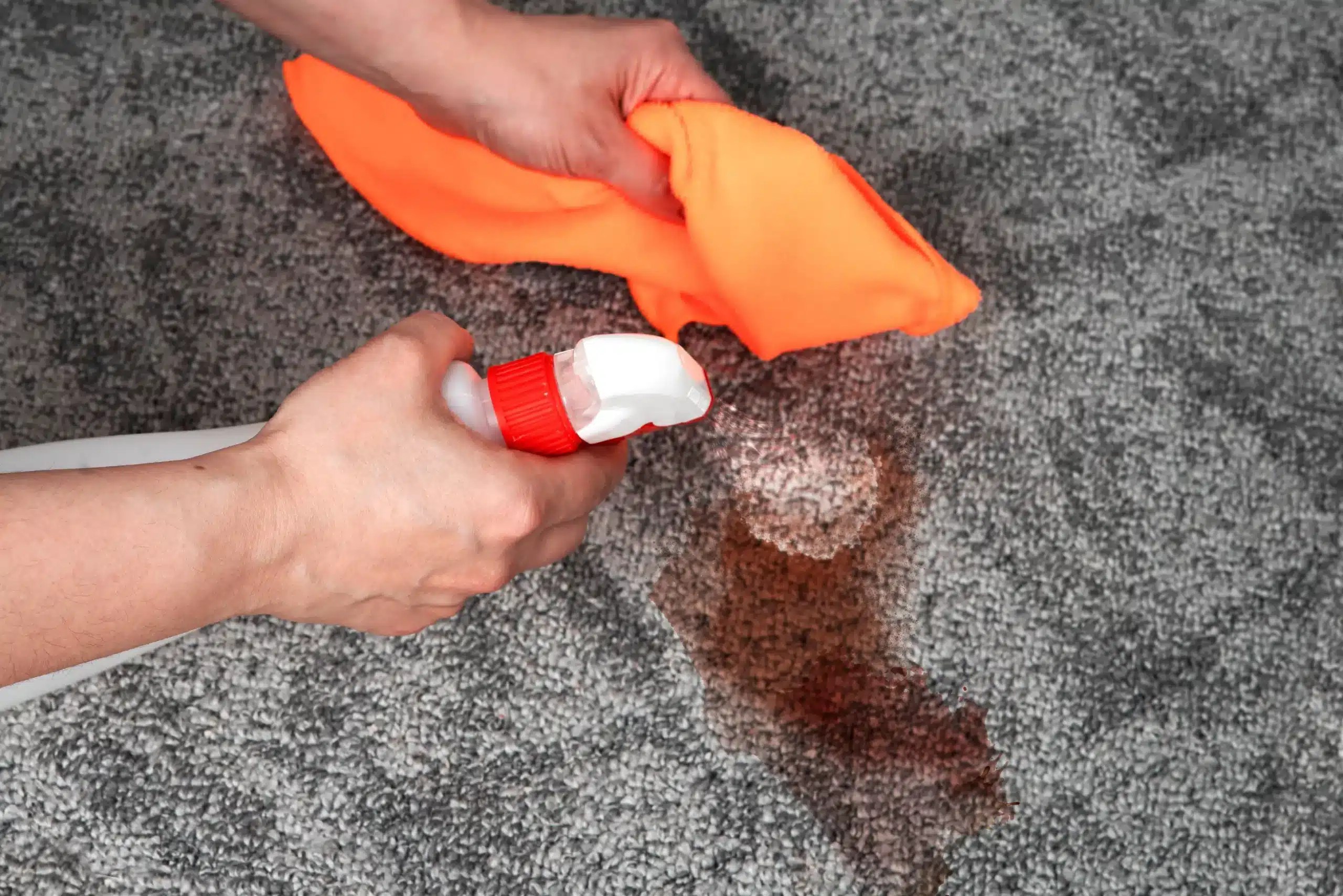 How to Clean Grease From Carpet ProClean
