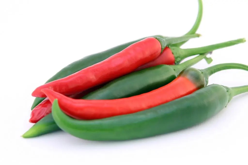 Spelling Tips Chilli, Chili or Chile? Proofed's Writing Tips