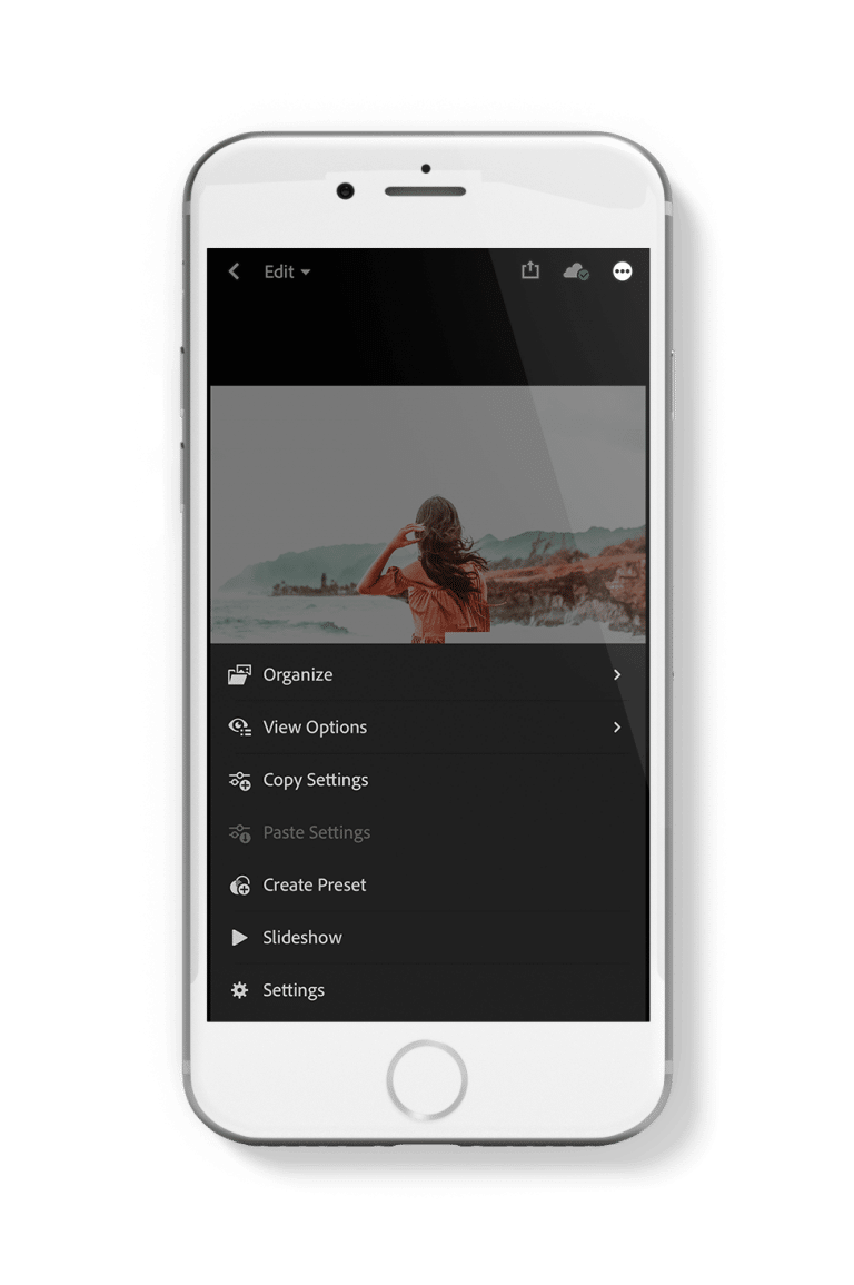 Now all you need to do is click the 3 dots on top right, save preset