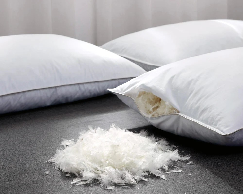 Goose Down Feather Pillow GetRest