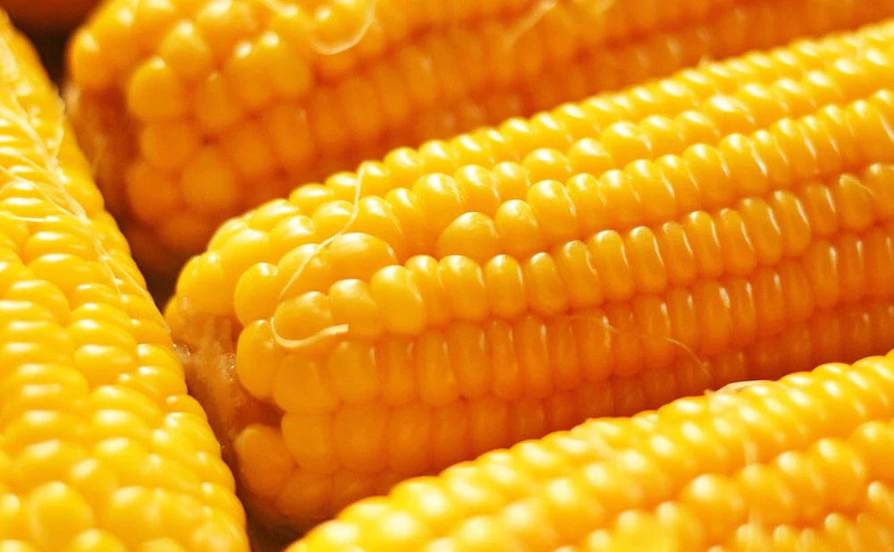 Corn And Gout Diet Eating Corn Bad For Gout?