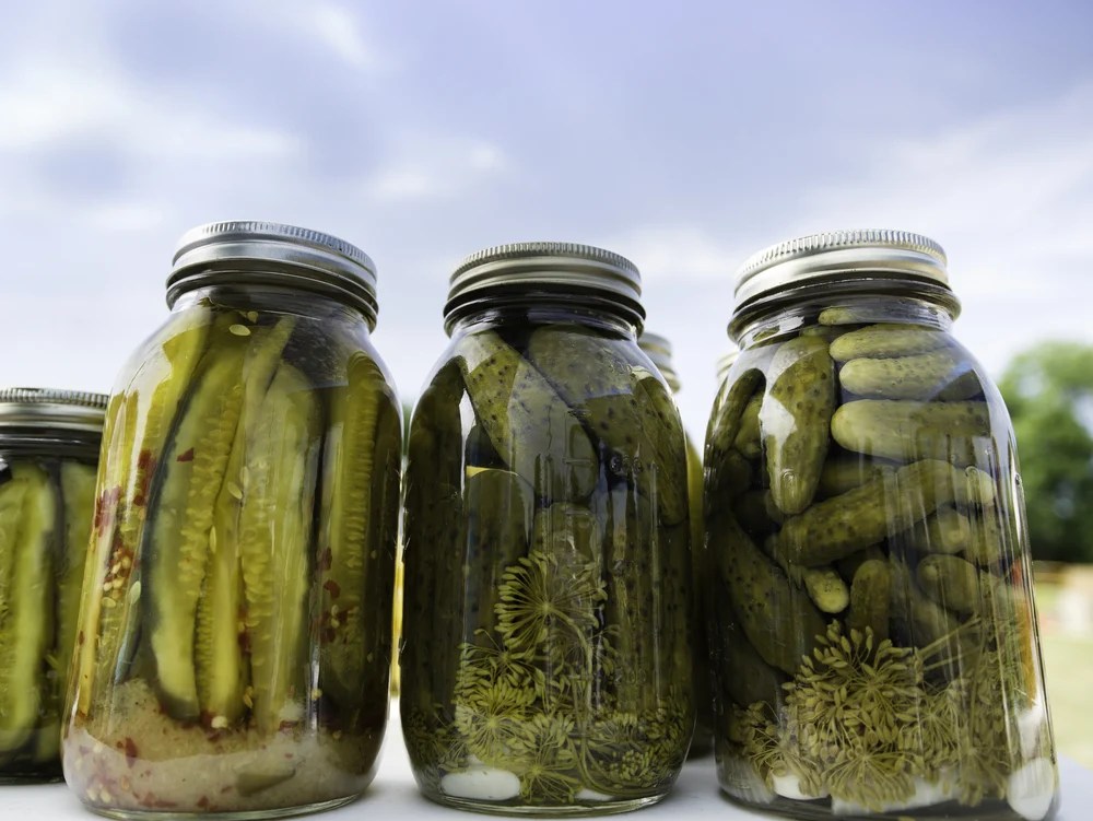 Pickles and Gout The Benefits of Pickle Juice Good For Gout