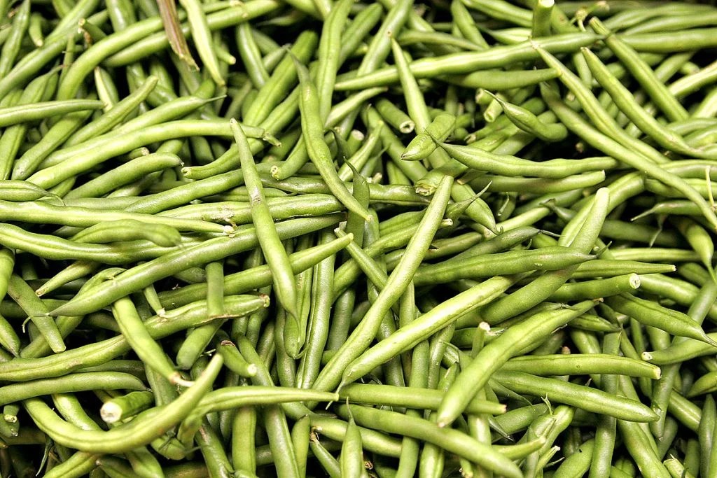 Green Beans And Gout Diet Exploring Low Purine Profile for Gout Management