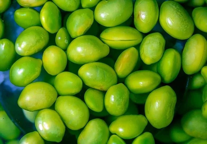 Green Beans And Gout Diet Exploring Low Purine Profile for Gout Management