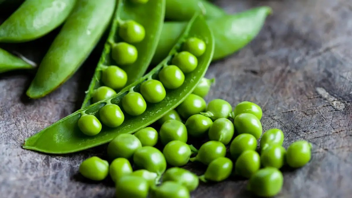 Peas and Gout Exploring the Impact on Uric Acid Levels