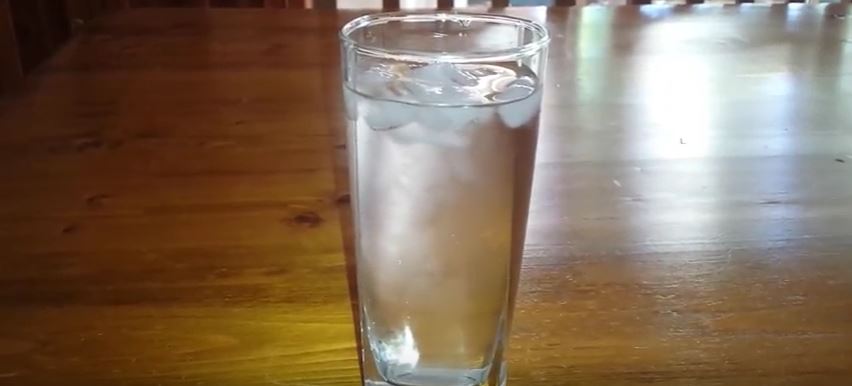 Do bats drink water? How?