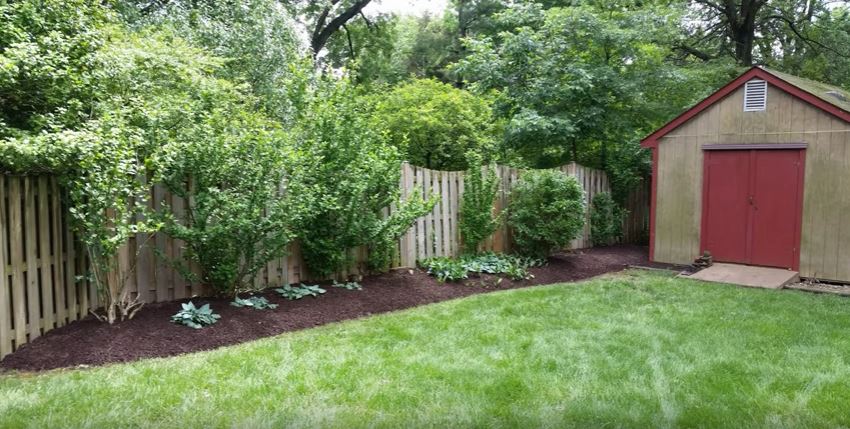 How to Get Rid of Chipmunks