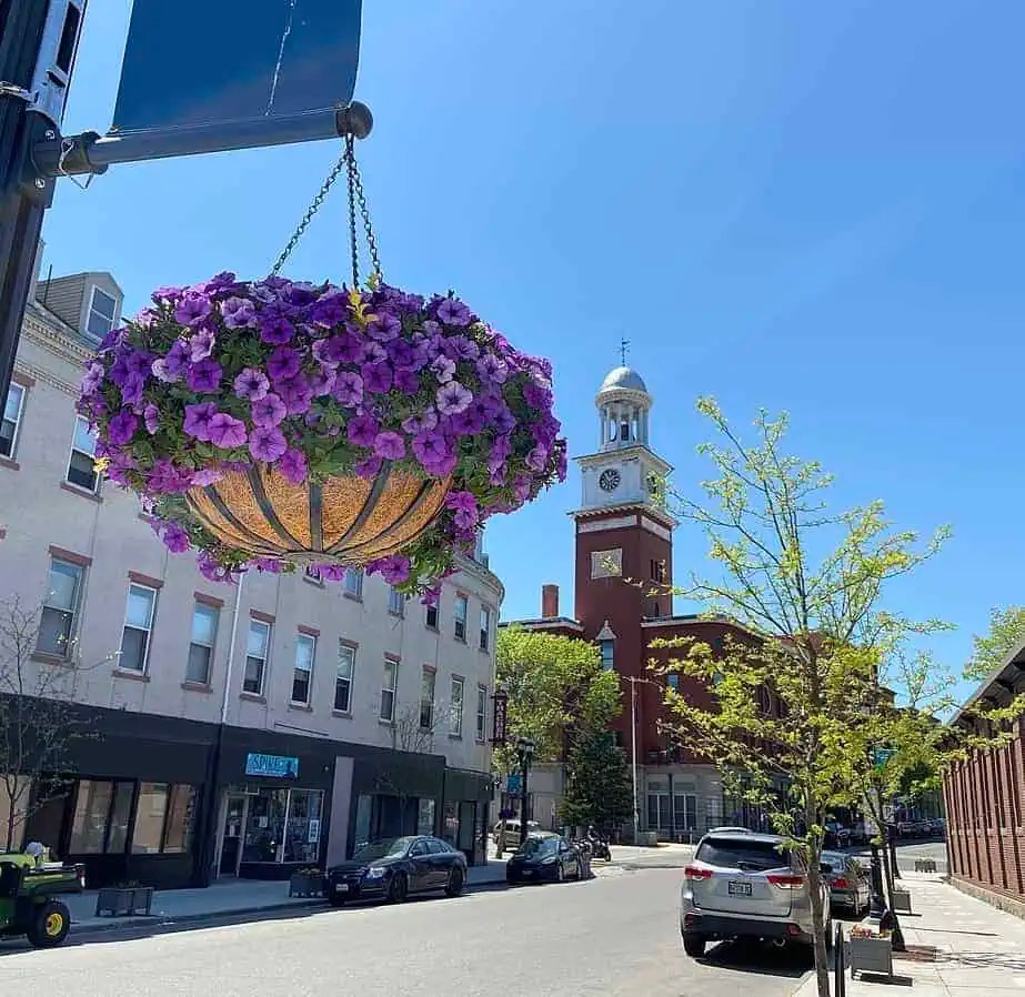 1 Maine Cannabis Security To Get Licensed Safe and Sound Security