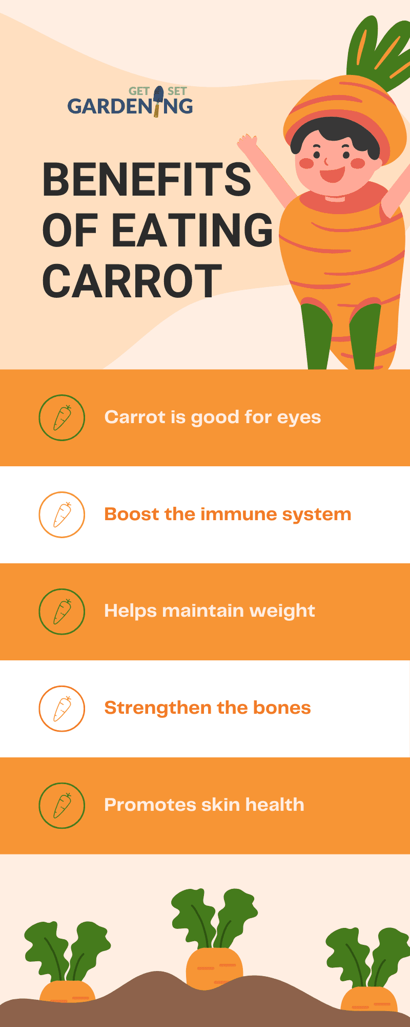 Is Carrot a Fruit, Vegetable, or Root? Answered