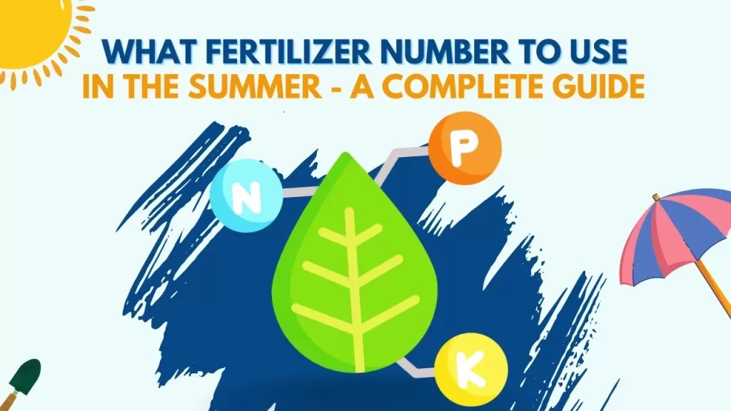 What Fertilizer Numbers to Use in Summer? A Complete Guide