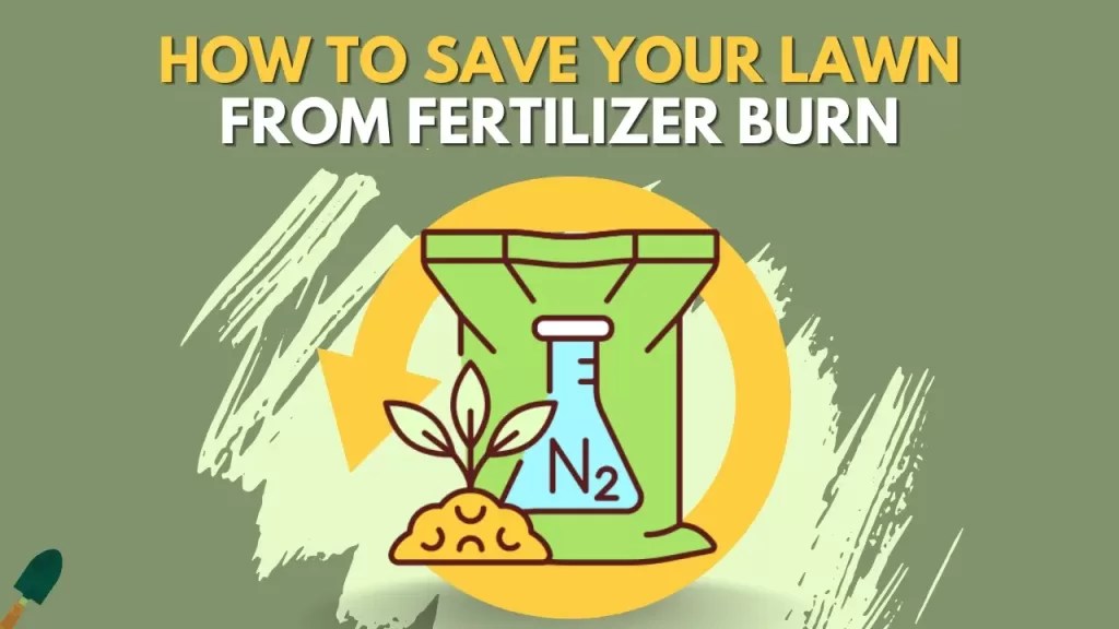 What Fertilizer Numbers To Use In The Fall? A Complete Guide