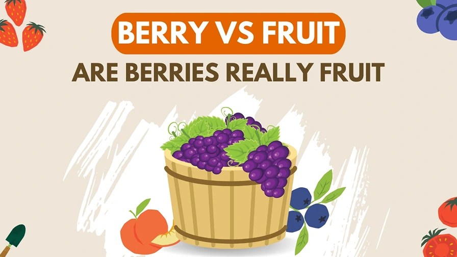 Berry vs Fruit Are Berries Also A Fruit The Full Truth