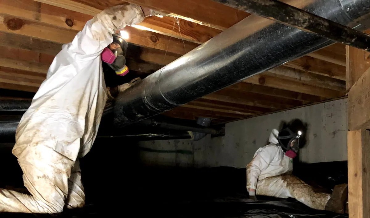 Do Rats Really Go Into Air Ducts?