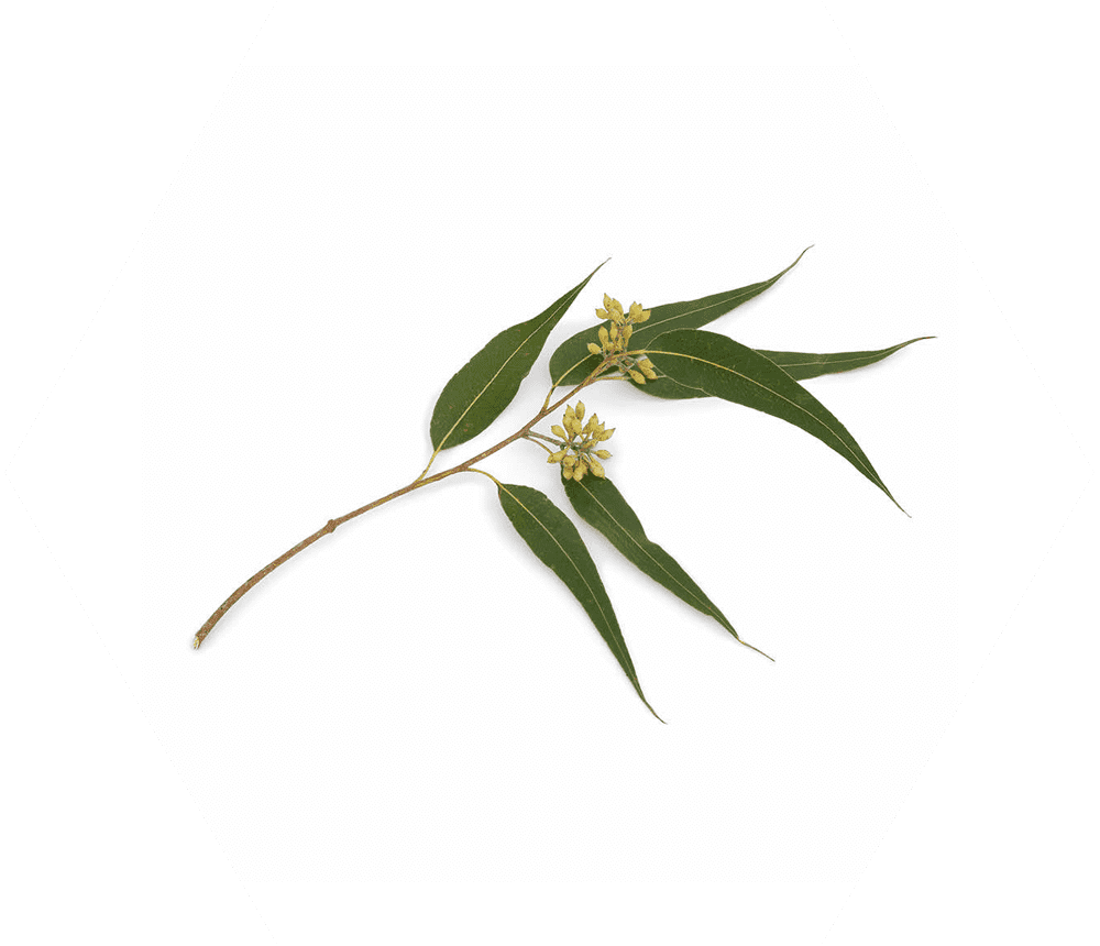 Benefits of Smooth AF® Relief Reinvented® for Athlete's Foot