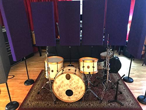 Auralex Acoustics Portable Acoustic Treatment Panels for Podcasting, V