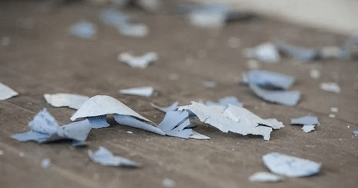 Pennsylvania to receive 43 million in federal funds to remove lead