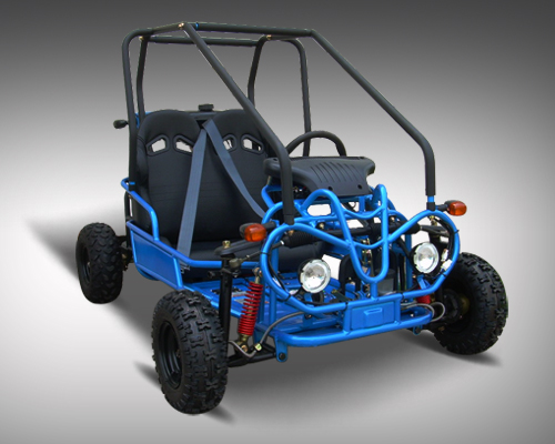 Mini Raptor 110 cc Fully Auto/reverse GET THE MAX out of Life!