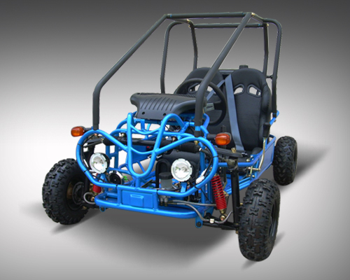 Mini Raptor 110 cc Fully Auto/reverse GET THE MAX out of Life!