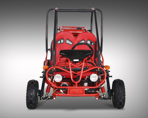 Mini Raptor 110 cc Fully Auto/reverse GET THE MAX out of Life!