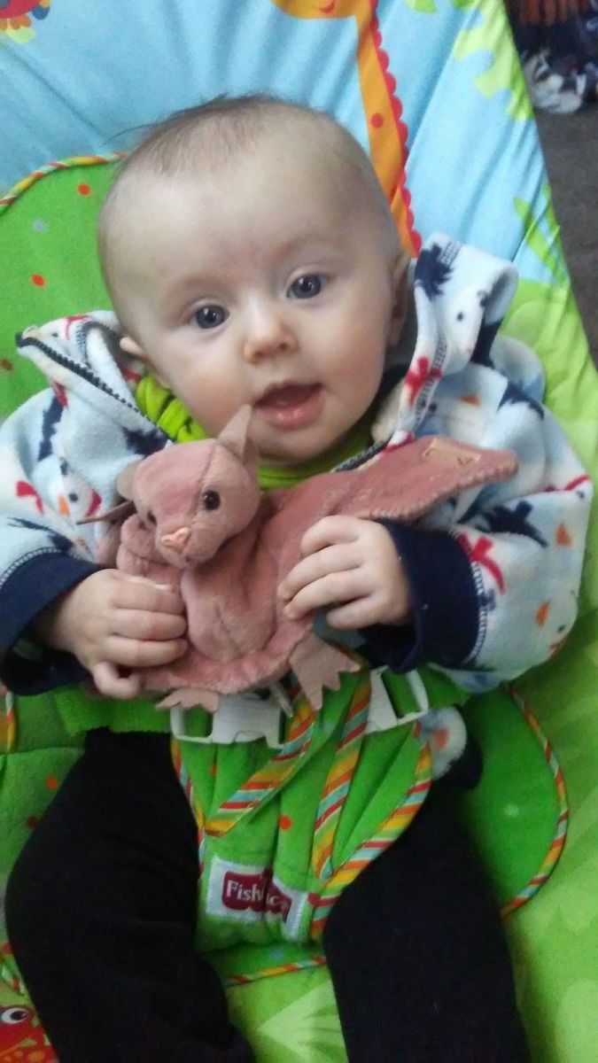 Colorado Bats Face New Threat WhiteNose Syndrome in 2023